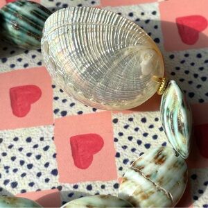 Turbo shell & silver abalone (?) shell stretch bracelet beachy